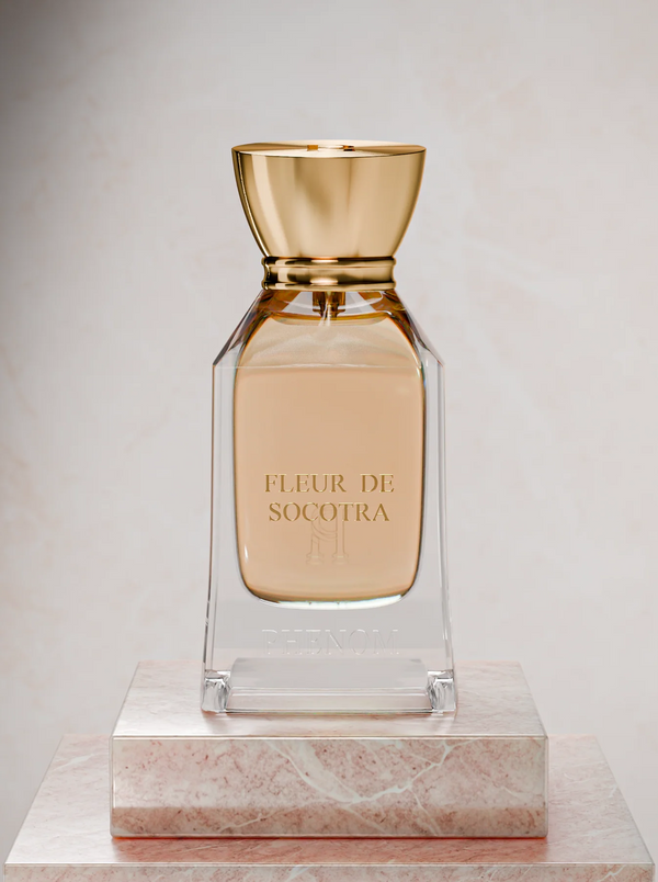 FLEUR DE SOCOTRA