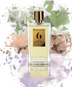 Alternative view of Nº6