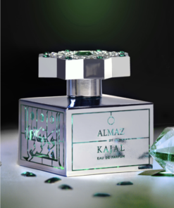 Alternative view of Almaz