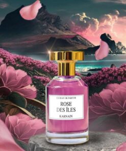 Alternative view of Rose des îles