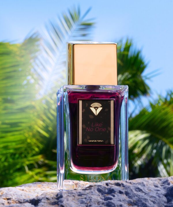 Alternative view of LIKE NO ONE