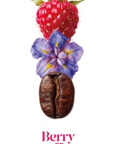 Alternative view of Berry Coffee