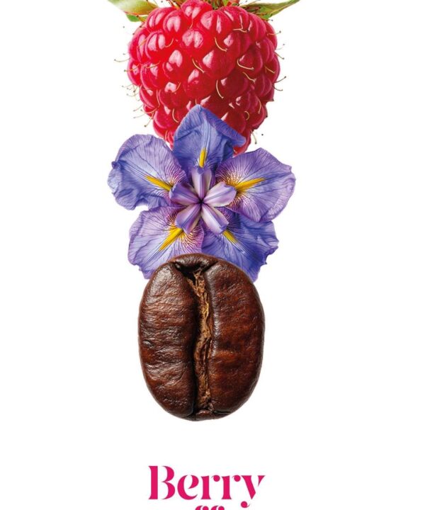 Alternative view of Berry Coffee