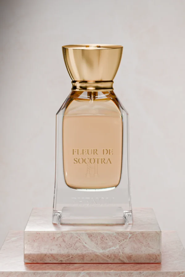 FLEUR DE SOCOTRA