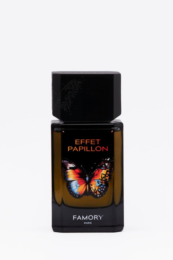 Effet Papillon