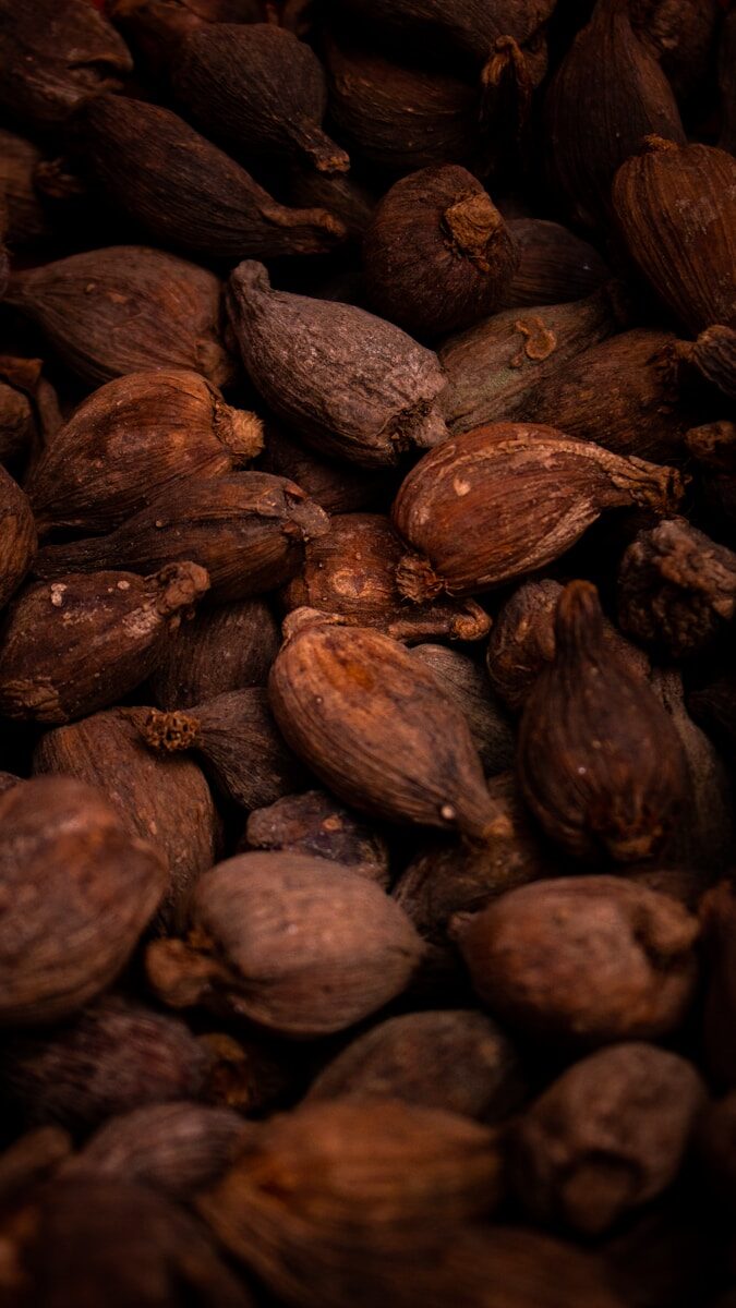 cacao