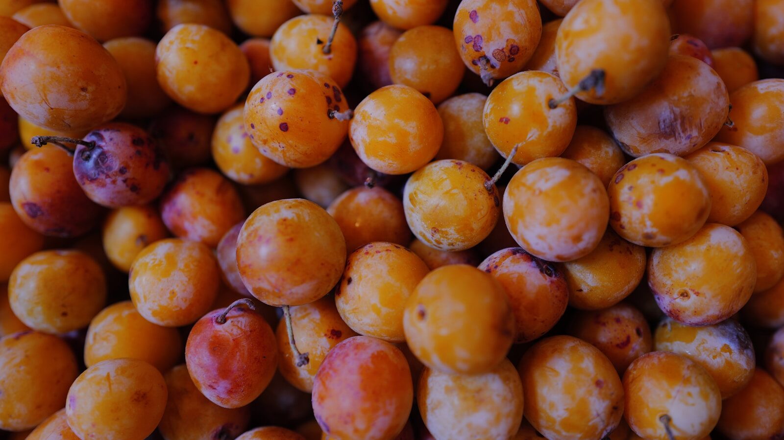 Pile of ripe yellow plums with red spots
