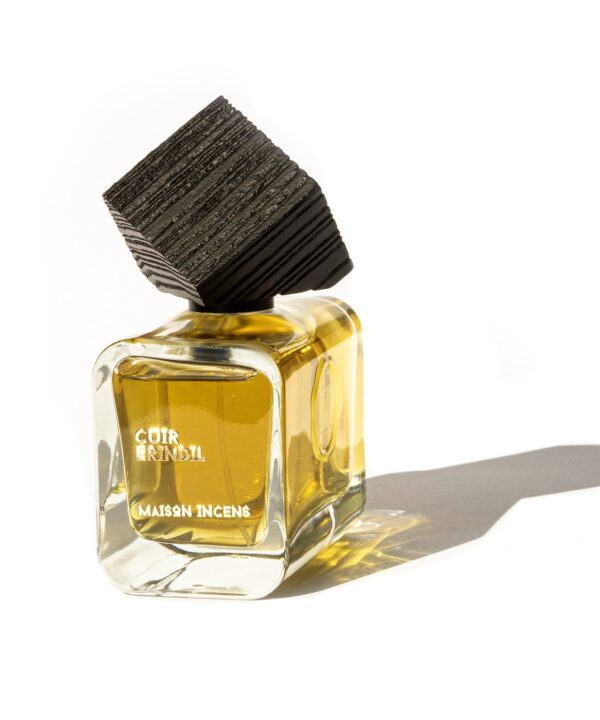 Cuir Erindil