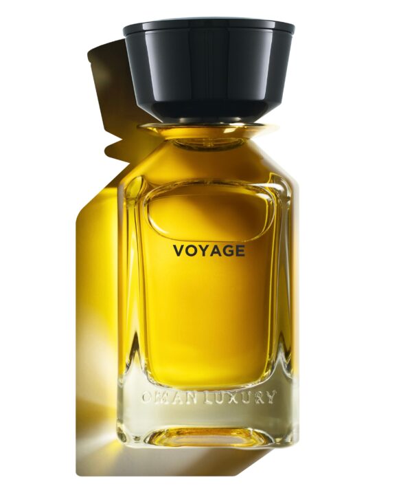 Voyage